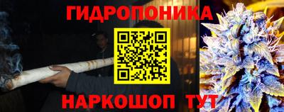 хмурый Новодвинск