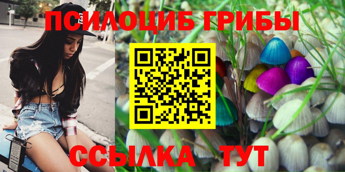 Пугачёв  Галлюциногенные грибы GOLDEN TEACHER  купить   Вход с VPN 